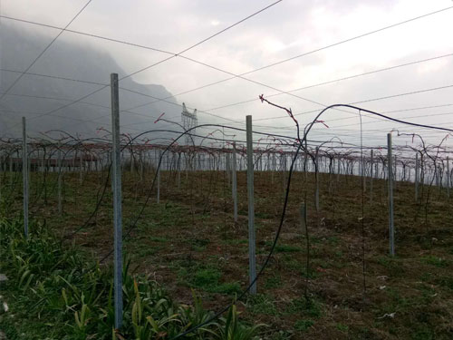 哈哈(haha)体育_十年运营 诺言无忧